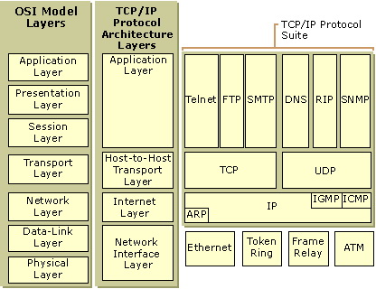 Referentni modeli OSI i TCP/IP