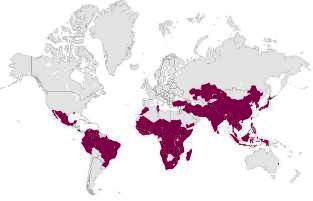 Incidenca kolere u svijetu