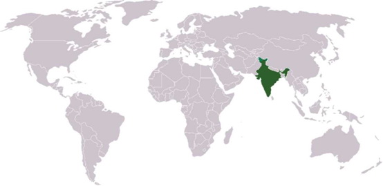 Geografski prikaz svijeta i Indije